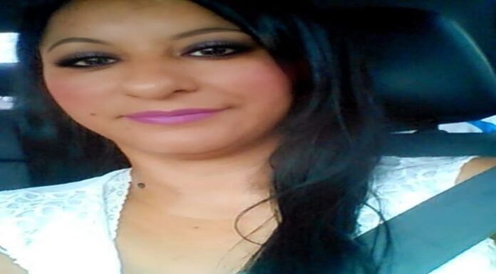 A jornalista Zenaide dos Santos SA convoca escritores do mundo inteiro para uma coletânea de poemas com o tema Mulheres pela Paz. Vem ver!