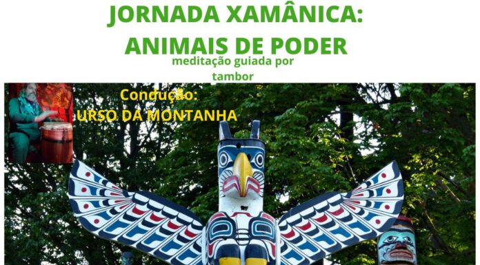 Meditação Guiada do Animal de Poder, por Rubem Garcia (Urso da Montanha)