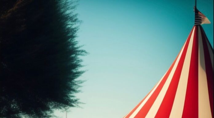 O Picadeiro de todas as artes